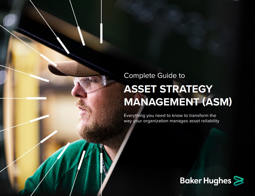 ASSET STRATEGY MANAGEMENT (ASM)